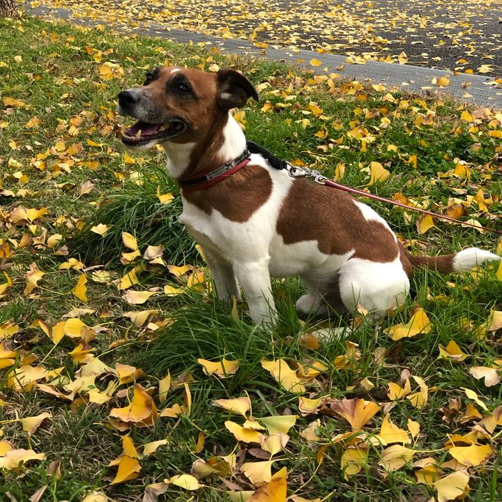 A3e7434c 605b 4467 99f1 91896cfc60ee 1544050716267