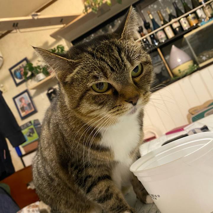 A3e77f4f 5360 463c 9496 d4edaec7a3e4 1642480462600