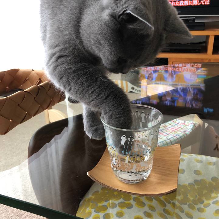 A3e79de9 a9a8 4c27 94f7 51c7d8f58178 1542503353907