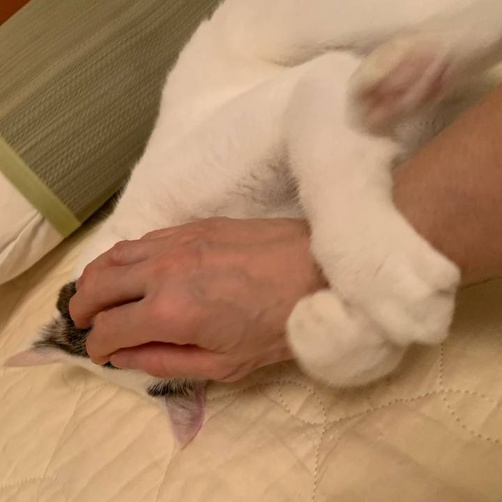 A3e7a1e1 ce69 460c b51d 12a9c8c8598a 1631161393559