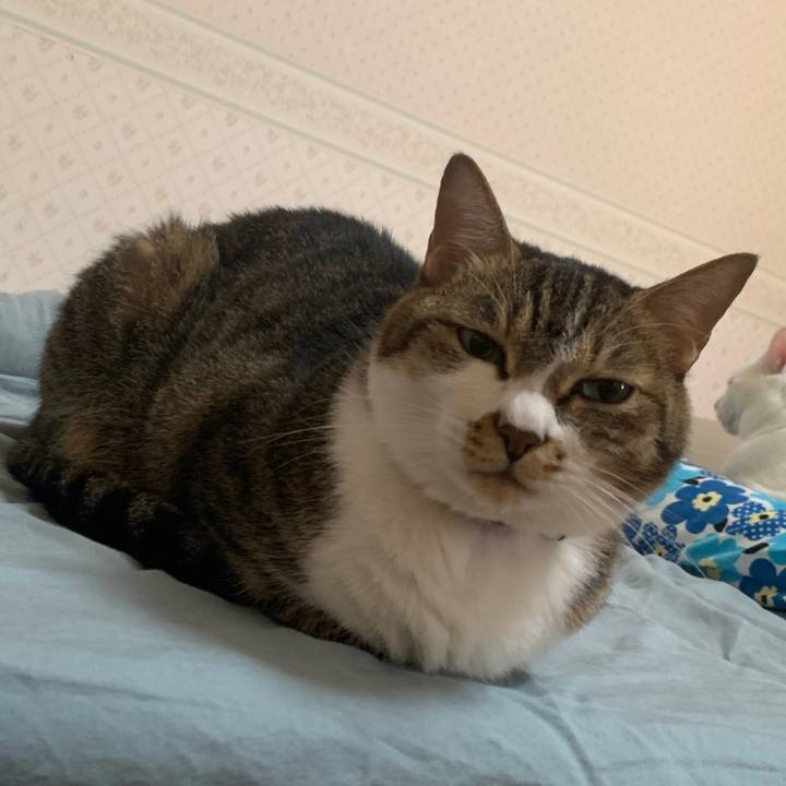 A3e7a926 714a 437f b084 067ad3873b8f 1654201633804