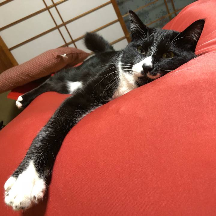 A3e80644 4625 460a bc32 9338de09d55a 1522381867488