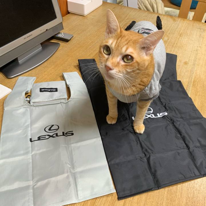 A3e80d7d 759c 4666 b7d3 582bdd55ef14 1637319875340