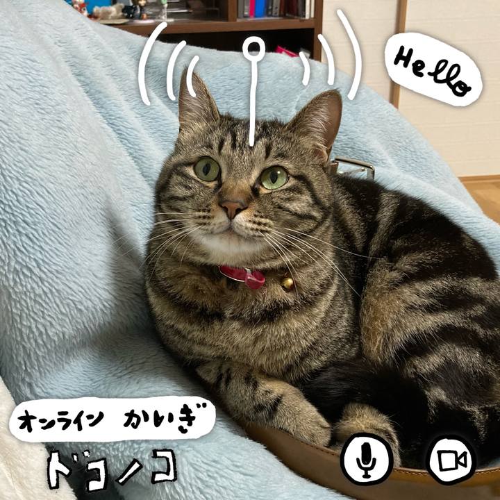 A3e83071 b96a 4a93 a4ec 13b0c41bc20b 1590736481769