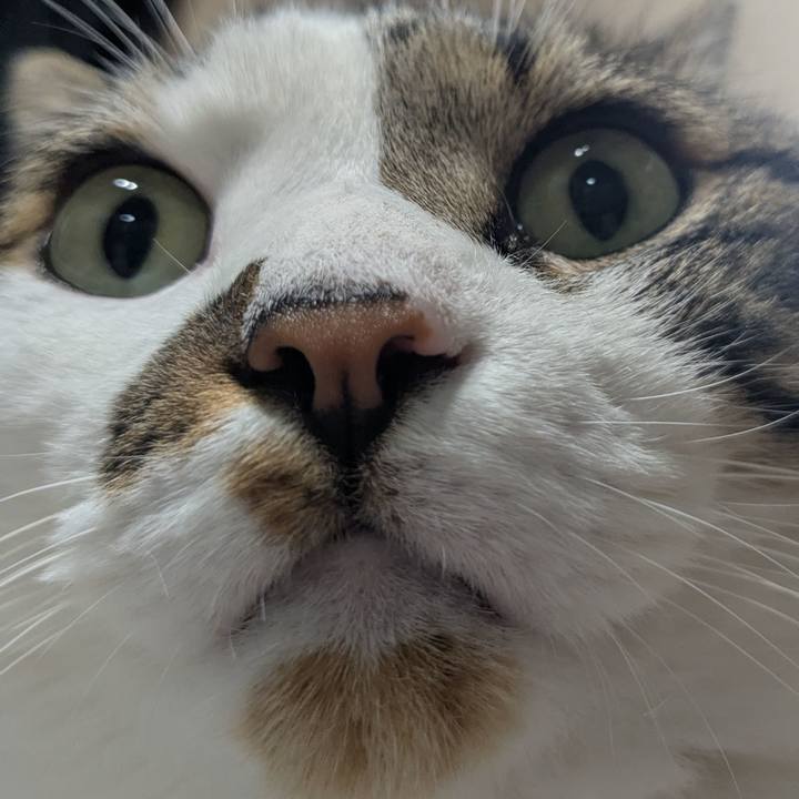 A3e839da e9f2 4952 9d3f 0bb00ead75d5 1752554466254