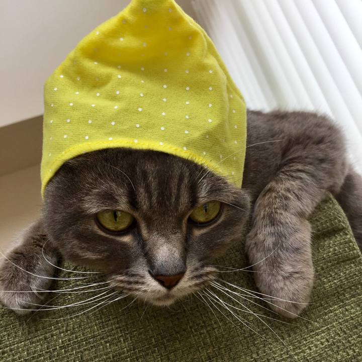 A3e83fa0 bdb9 4e56 8ce6 752c00904bb8 1557617287445