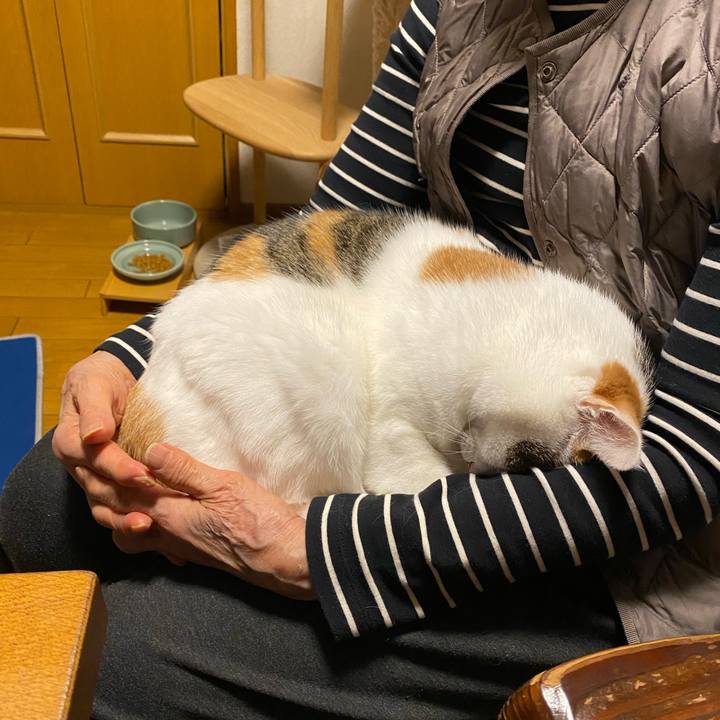 A3e85a08 4f25 491f 9f3c 9356ba7d30b0 1762592425857