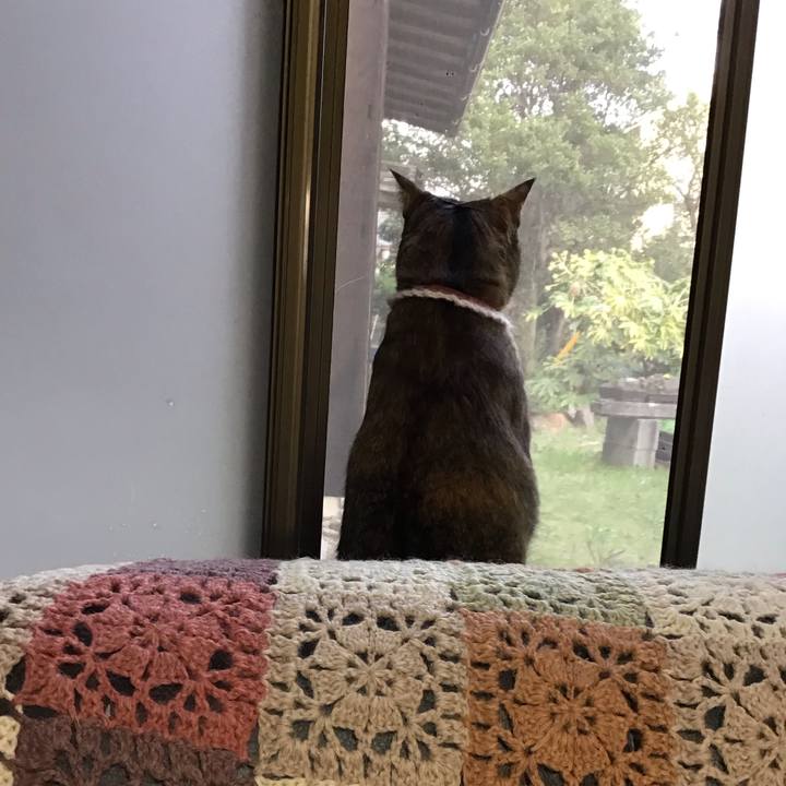 A3e874a3 31a6 4389 a8e2 90480c981177 1711874517646