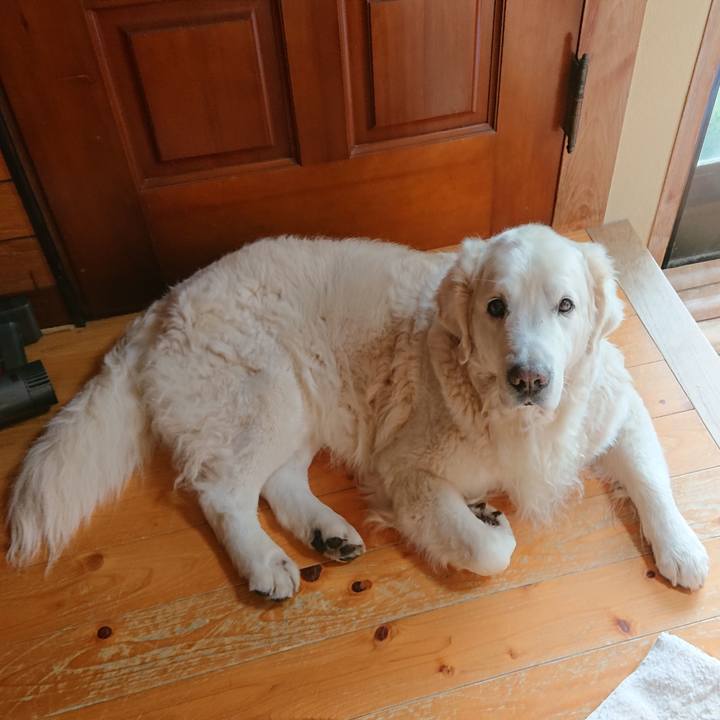 A3e8d08c 0d5d 4a19 b3c9 d73d62244c4b 1555384173577