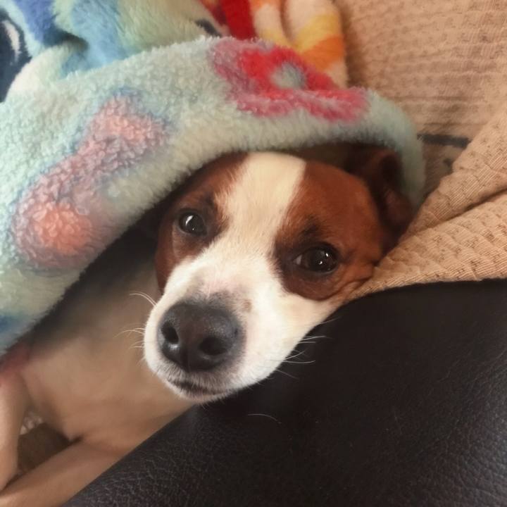 A3e8fb14 c5b7 4e6a 8890 4d95ab406362 1516455597266