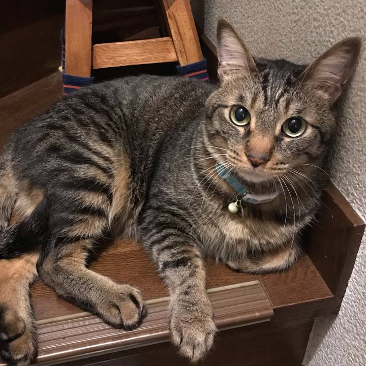 A3e95170 06c2 4a5c 80c3 931e7efe5ed4 1557670252849