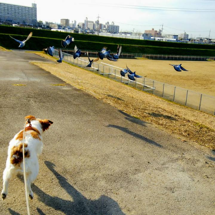 A3e99c1f d1c5 4e11 9167 163223f7655f 1552899644112