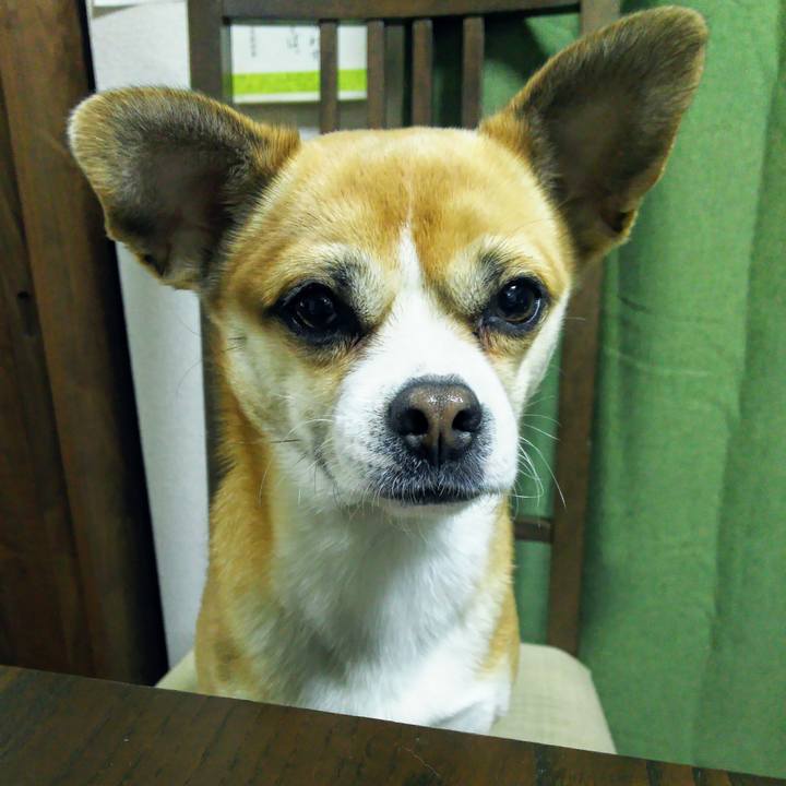 A3e9eac5 c9bd 432d 8738 a70c31d469c2 1551302451516