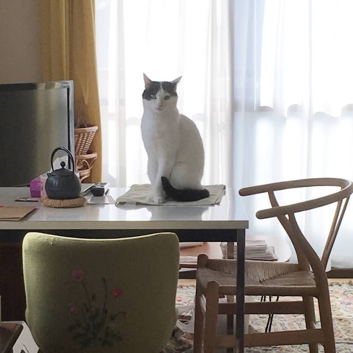 A3e9fa74 adff 41e8 bb8a 190f95369aa9 1577401372362