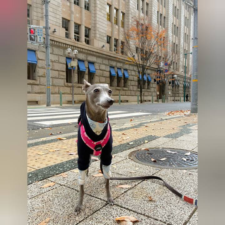 A3ea0376 19b9 4679 b634 a010e04e405c 1765794826761