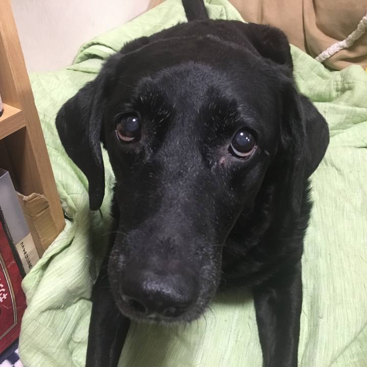 A3ea1fce cbc4 4360 90ba ba4a66743645 1577319976708