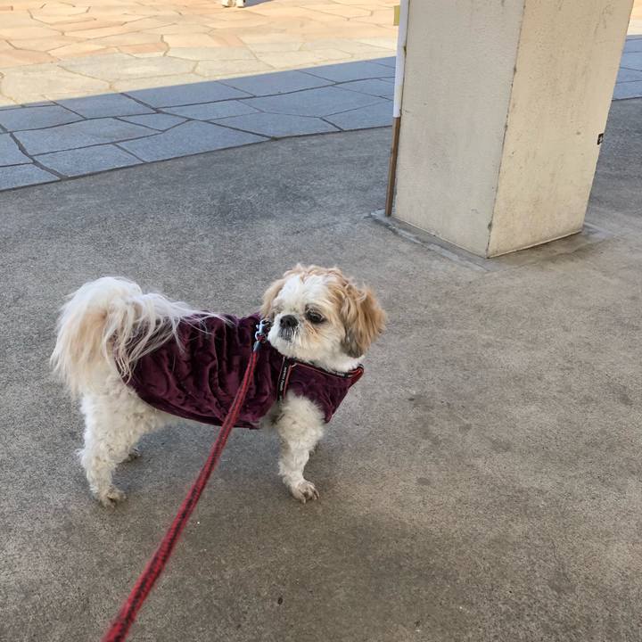 A3ea6fe7 1dd7 4738 b19f 2463f44b0cb9 1614981340914