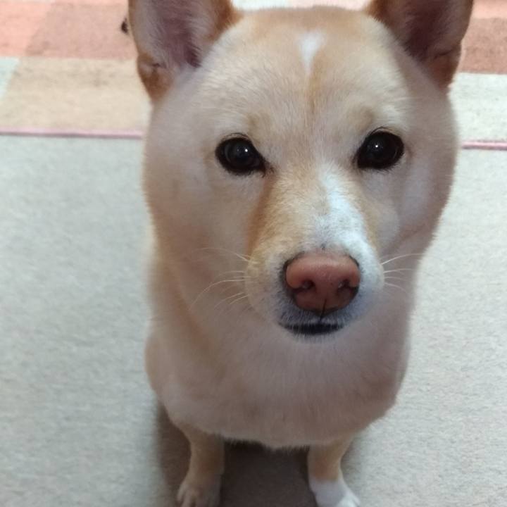 A3ea6ff7 6459 4519 8dbc 398ac0aa512a 1555056430408