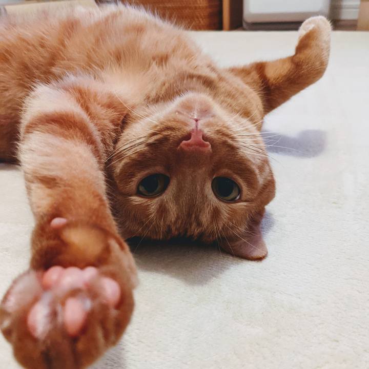 A3ea840c 8af0 4092 9e7b 0406299a3edf 1624537142267