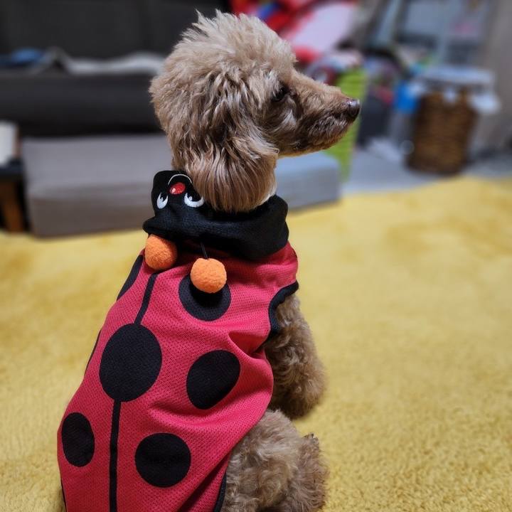 A3ea98f6 d3ab 4149 b3bc 41e416d19519 1653095817821