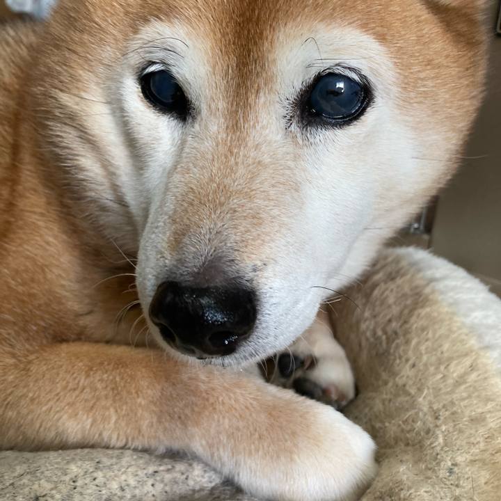 A3eafd99 c6a0 43ad 866a 47801541090b 1708917883626