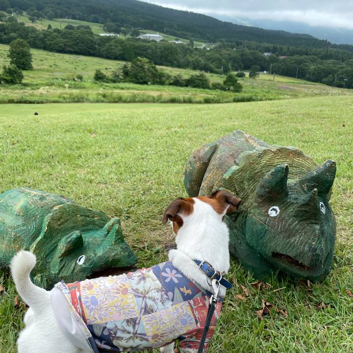 A3eb12a5 8089 4d88 8f5f db972868920f 1628662582810