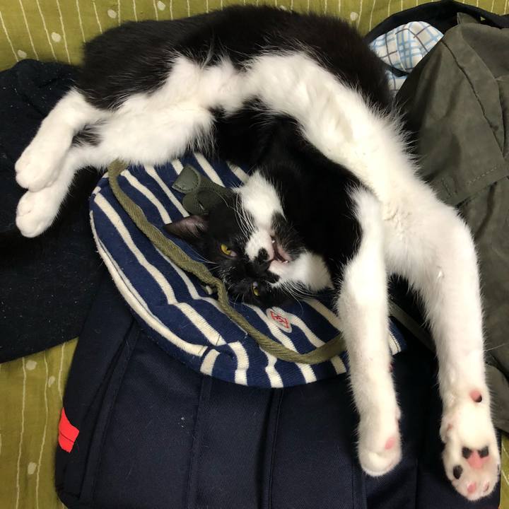 A3eb12c9 c15a 42d3 b9e0 4985b09a6f49 1558776404574