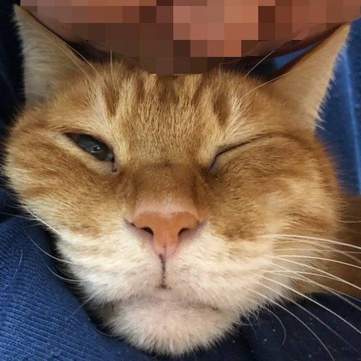 A3eb1f40 48f8 4cc6 953e 2f8ad0989f36 1733648226797