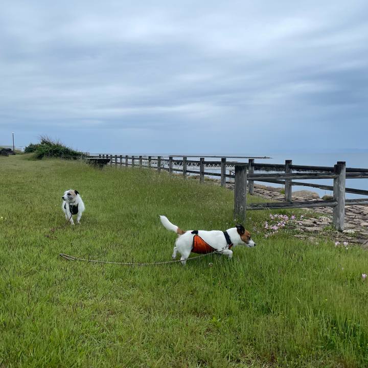 A3eb3007 97ea 4c42 9f27 65b796619cfb 1716853858605