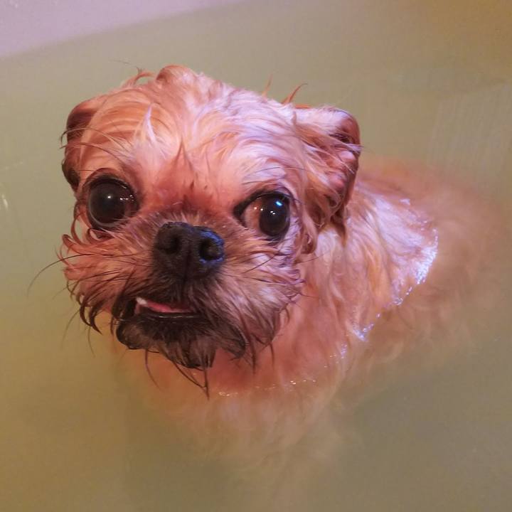 A3eb32c3 df21 4b81 9010 6e36a864d309 1509145989547