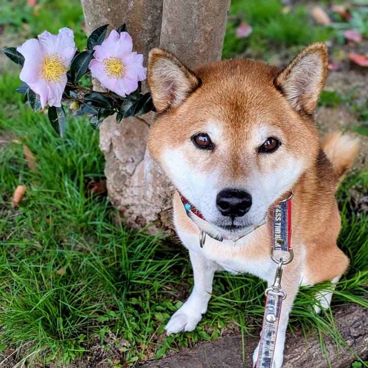 A3eb84ec 7f24 4a7f 90e6 b27b97d18675 1763284520428