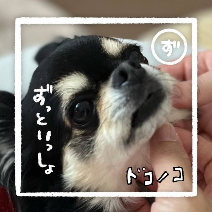 A3ebab67 8046 4c6f 880d 56f913a9c84b 1685949318158