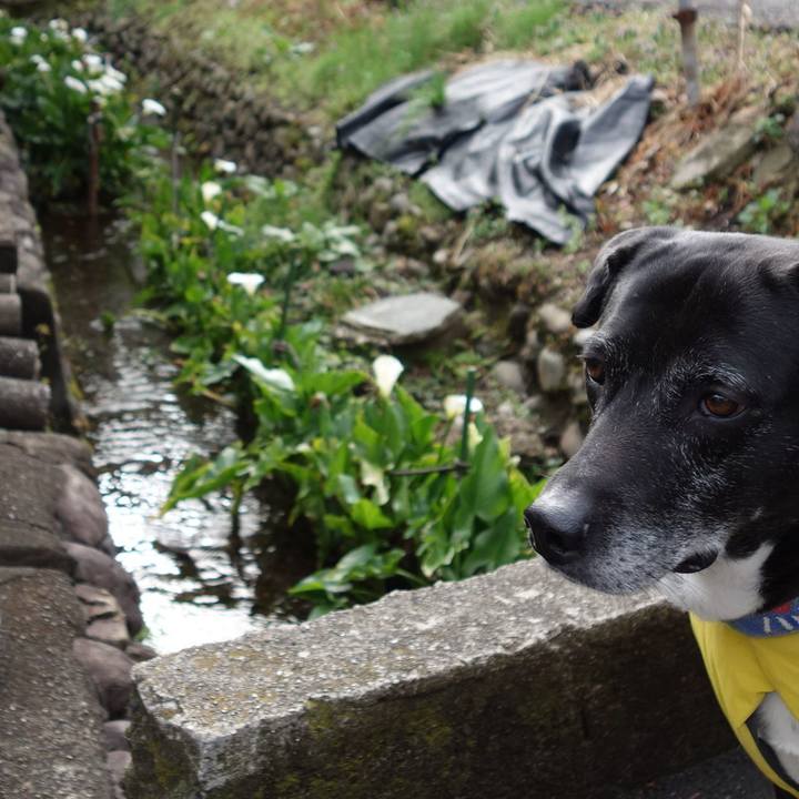 A3ebe57a 91ca 4d10 b142 f72ba0733bd9 1743294750700