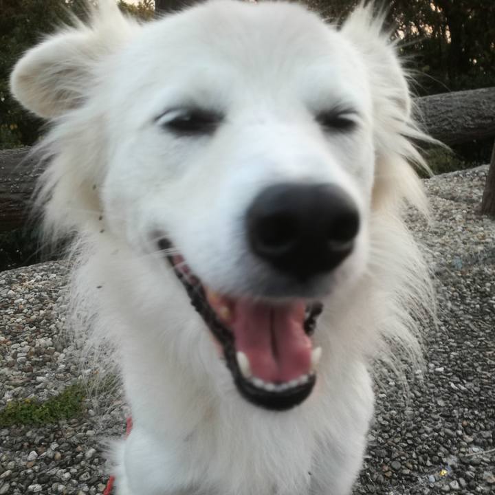 A3ec0353 ef02 4087 9924 4a58a90f5717 1511858669007