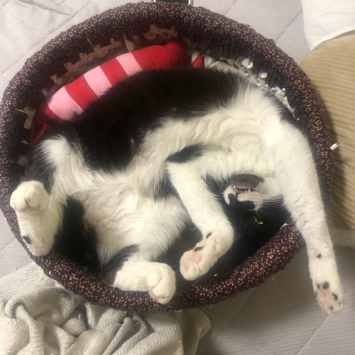 A3ec0e2d 4531 4644 a357 d2823657339c 1589685076095