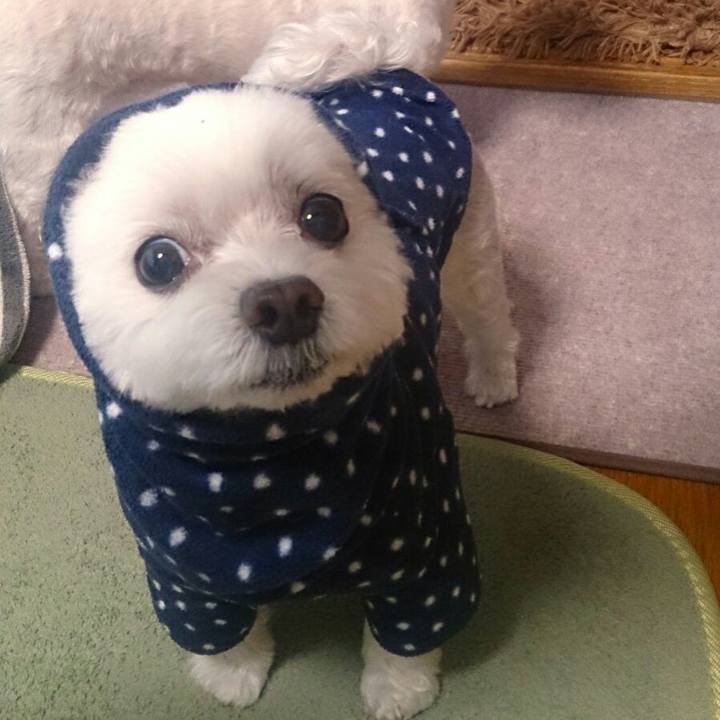 A3ec2219 8926 4288 8935 ac1fb23094c2 1507854846719