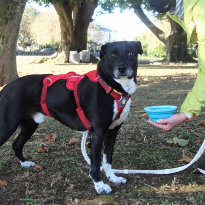 A3ec37d7 3c21 46f4 8ed6 8ab513b6061e 1667350218581