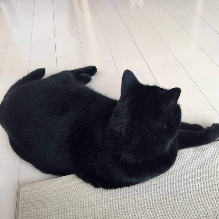 A3ec38ec 472a 419f af83 0fcbe149e9d8 1536367889928