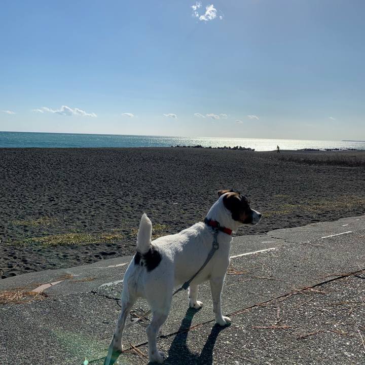 A3ec46be 2462 4918 9f99 54292599201e 1577769015318