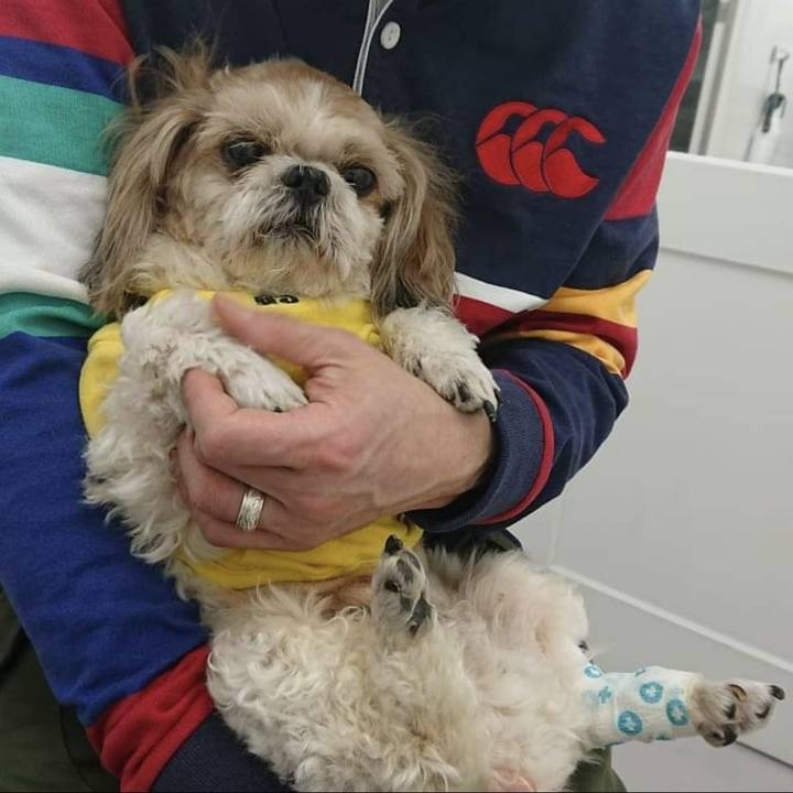 A3ec4812 a321 4173 b8f2 ea90024d263e 1709426309363