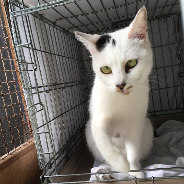 A3ec55d9 49a4 4b53 b641 e2b002205412 1510806013293