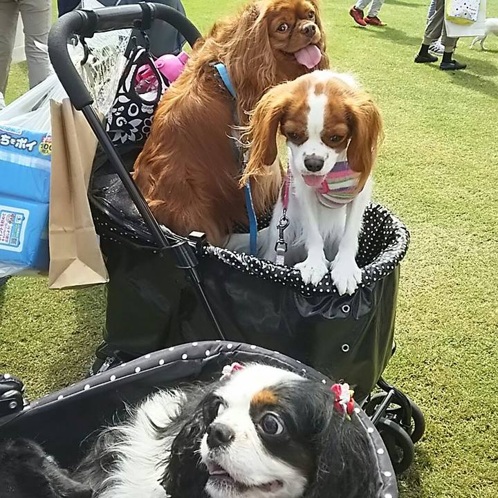 A3ec5ae3 8c9b 4848 8100 746a0cc3faa8 1537695518094