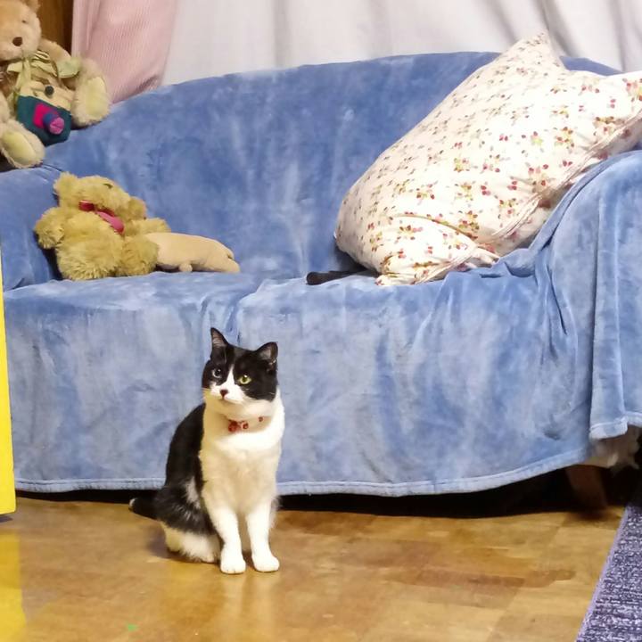 A3ec7b5b 77e9 4fe3 96cd a8e9cfbeec38 1523701449765