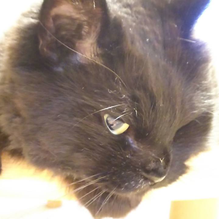 A3ecbfc1 5d60 4960 9810 669916ee894e 1564665405078