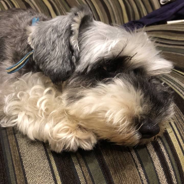 A3ecd38f 48ba 4160 ac1a 1dd0f14fdc3f 1533040929312