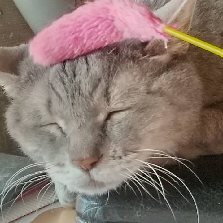 A3ecf0b1 27fc 46dd 8b97 05f8f98b70f0 1694732338568