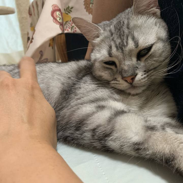 A3ed3ce4 ad79 481c b8da 9a18fb4218ab 1592027405850