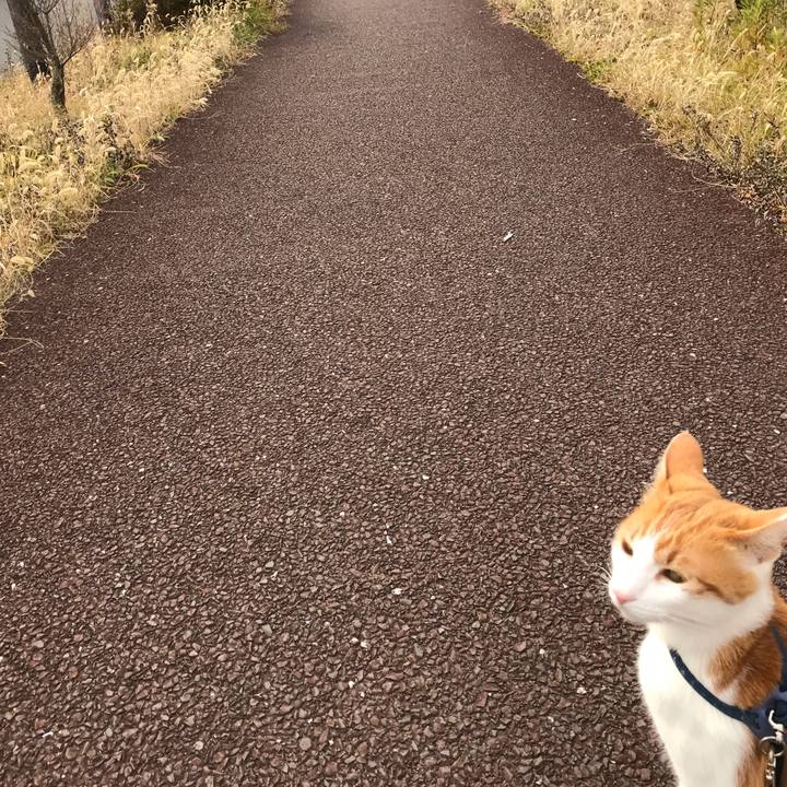 A3ed3f90 3b23 44d5 8618 1db368c4d2fb 1512465611704