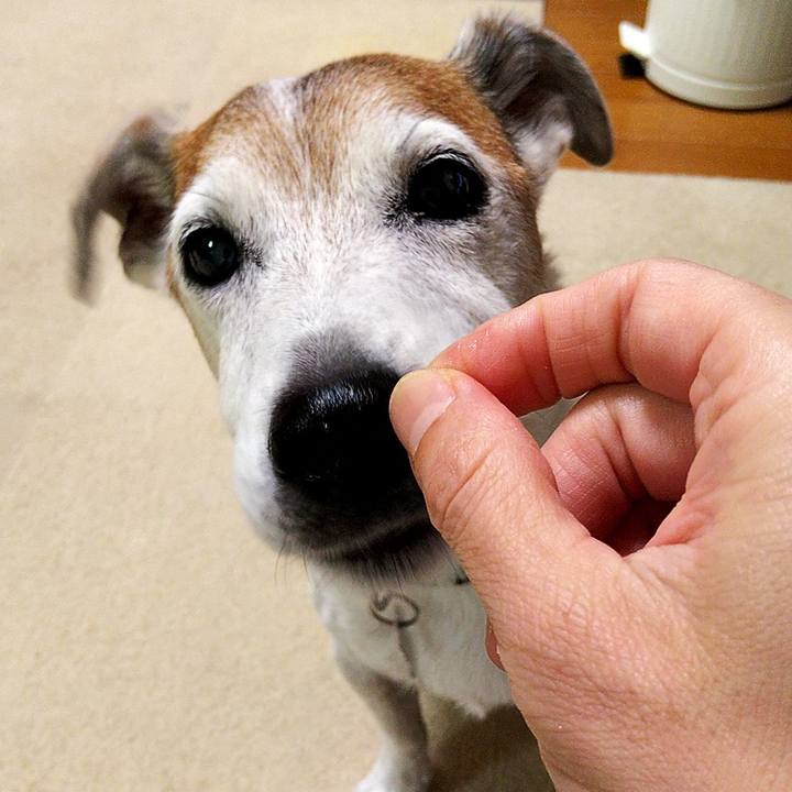 A3ed5238 8702 4a3a 9aeb 1d6f8e340b45 1594034976590