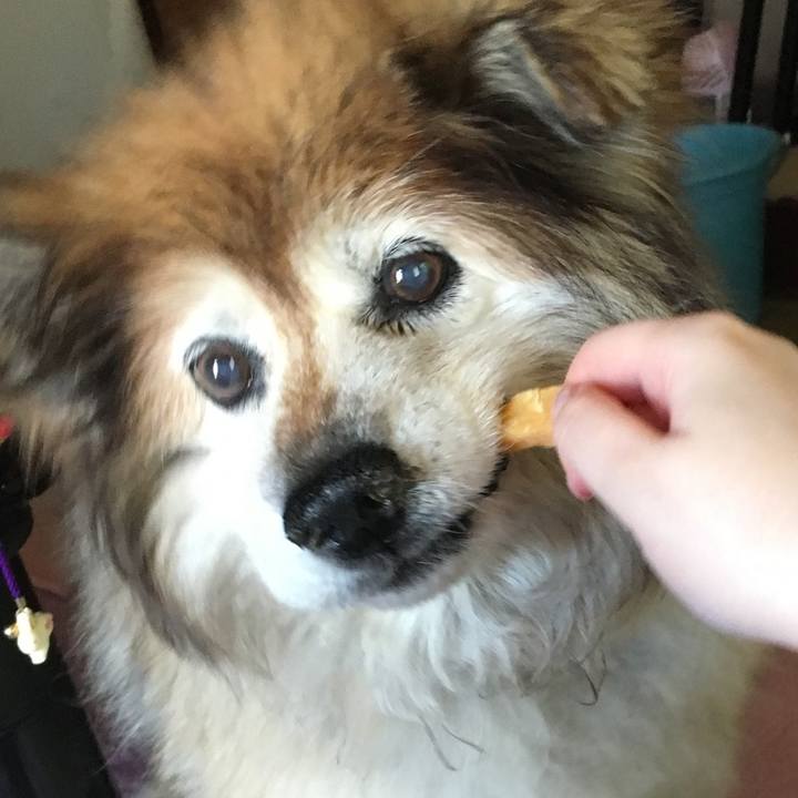 A3ed54ab b864 4caf 9662 193a5eb2054b 1584120084159